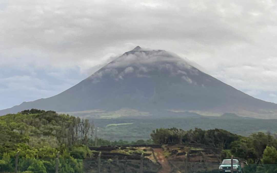 Visita de INVOLCAN a la isla de Pico, Azores